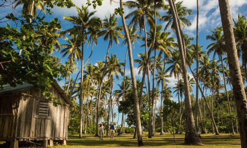 North Island